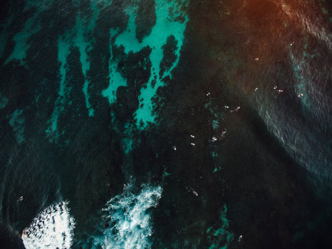 Aerial view of people surfing in ocean