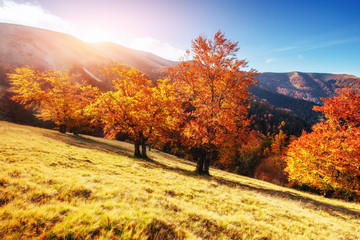 Naklejka premium mountain range in the Carpathian Mountains in the autumn season.