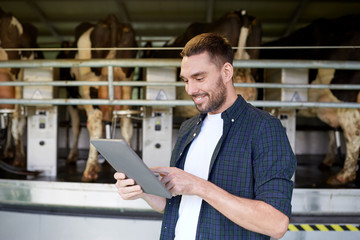 young man with tablet pc and cows on dairy farm