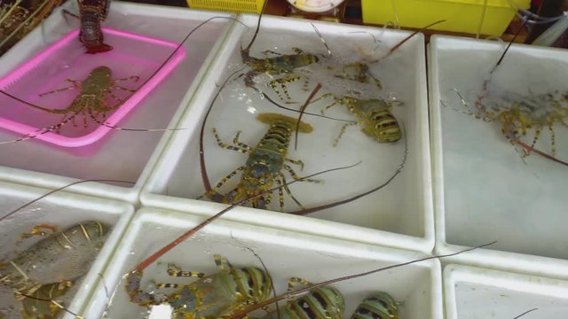 Fresh market Seafood in Thailand