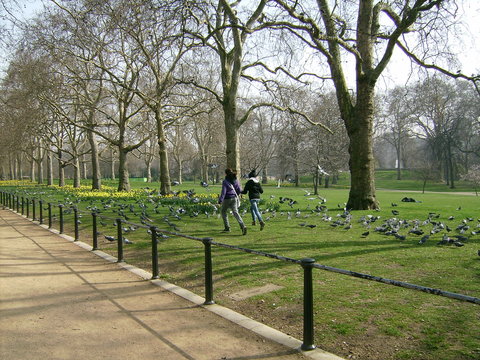 primavera londinese