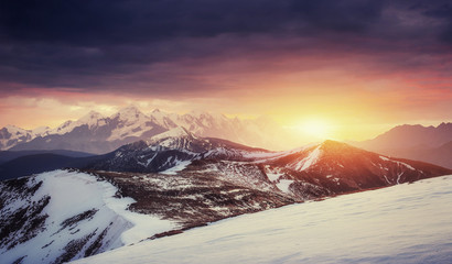 magical winter snow covered tree. Sunset in the Carpathians. Ukr