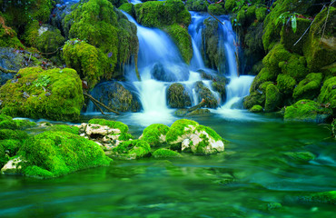 Mountain stream among the mossy stones