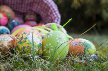 Fototapeta na wymiar Oeufs de Pâques décorés dans l'herbe