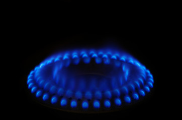 blue gas stove flame