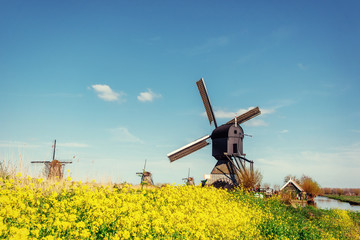 Old Dutch windmills spring from the canal in Rotterdam. Holland. - obrazy, fototapety, plakaty