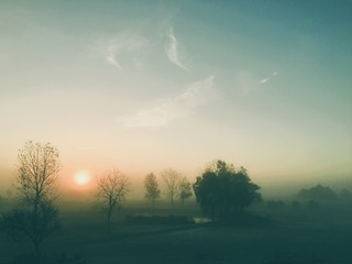 Fototapeta na wymiar Early Morning Fog