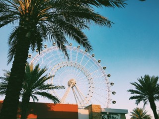 Ferris Wheel - obrazy, fototapety, plakaty