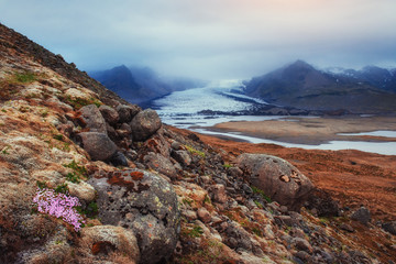 The picturesque landscapes of mountains Iceland