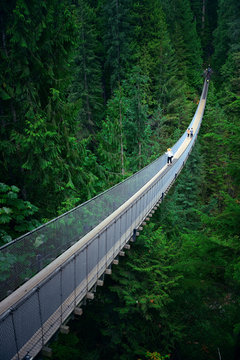 「Capilano」の画像 - 1,478 件の Stock 写真、ベクターおよびビデオ | Adobe Stock