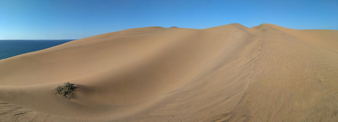 Panoramic view to sand dunes and ocean behind them
