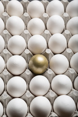Golden Egg Standing Out from a Crowd of Ordinary white Eggs