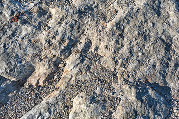 Rocks and gravel in late afternoon light.