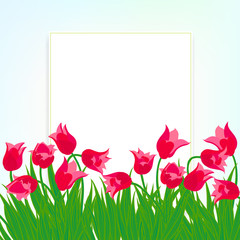 Spring card background with red tulips