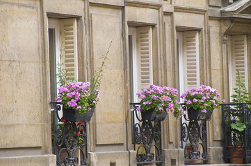 Fototapeta na wymiar French Windows, Paris, France