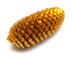 Golden fir cone isolated on white background. Flat lay, top view