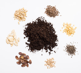 Preparation of seeds for planting. Copy space