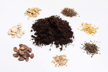 Preparation of seeds for planting. Copy space