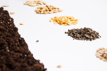 Planting seeds into the ground.