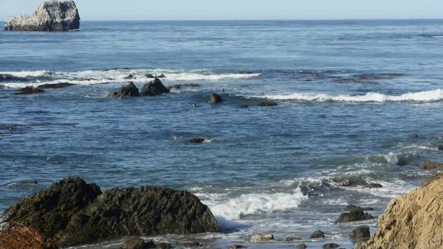 Timelapse of the pacific sea, full of seals, at elephant seals vista point, on higway 1, in San simeon, California, United states of america