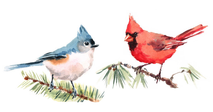 Northern Cardinal and Titmouse Two Birds Watercolor Hand Painted Illustration Set isolated on white background