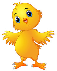 Cute chicken cartoon