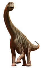 Camarasaurus © warpaintcobra