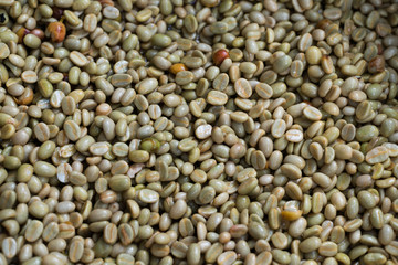 Green coffee bean after pulping hulling and cleaning
