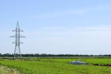 Fototapeta na wymiar Transmission tower on a background field of soybeans