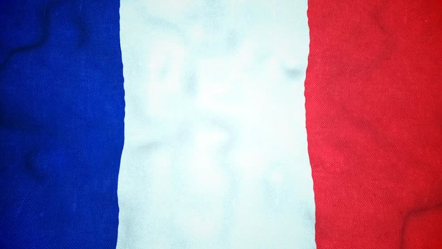 French Flag Seamless Video Loop