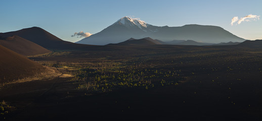 Fototapeta premium Tolbachik Ostry and Plosky Dead wood - consequence of catastrophic release of ash during the eruption of the volcano in 1975 Tolbachik