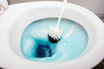 Person Cleans A Toilet With A Scrub Brush