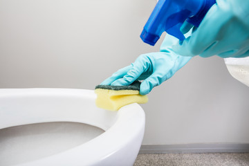 Person Hand Cleaning Toilet Using Sponge