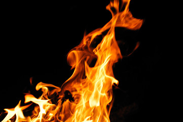 Fototapeta premium burning fire flame on the black background