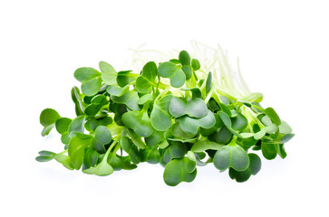 heap of alfalfa sprouts on white background