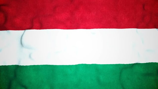 Hungarian Flag Seamless Video Loop