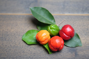 Barbados Cherry