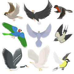 Set of different wing wild flying birds cartoon cute fauna feather flight animal silhouette. Spring freedom natural concept vector illustration.