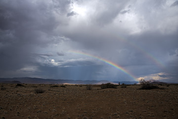 Desert Rainbows