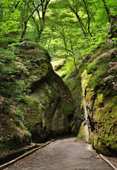 Path through rocks