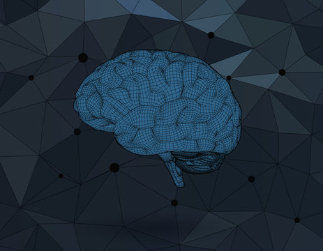 Wireframe Brain On Polygonal Connection Dots BG