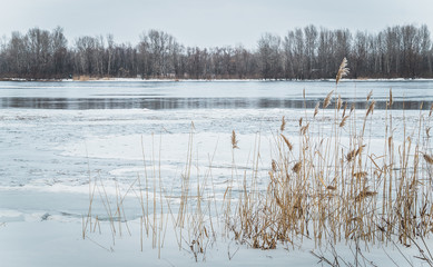 Талая вода. Пробуждение природы весной