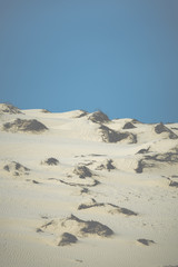 sand dunes in muine- phanthiet province - Vietnam