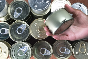Canned food for cats