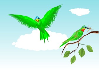 Green birds on tree branch vector illustration