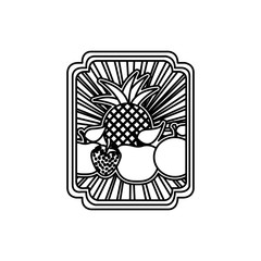 striped contour rectangle decorative heraldic frame with still life fruits vector illustration