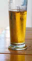 glass of cold beer