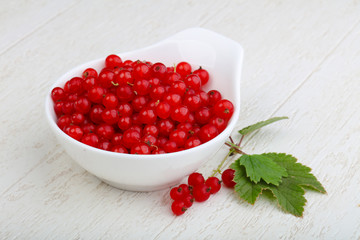 Red currants