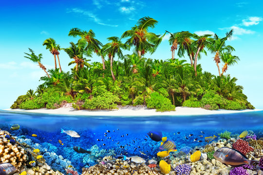 Fototapeta Tropical island in Ocean and beautiful underwater world.