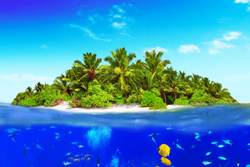 Obraz na płótnie Canvas Tropical island in Ocean and beautiful underwater world.